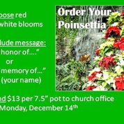 Poinsettias Point to Families (Order by 12/14/20)