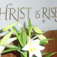 Easter Still Flowers Despite Coronavirus!