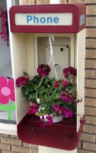PayPhone-Flowers-Jakes_5-24-14_500Portrait
