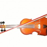 Pastor’s Ponderings:  Using the Talents You Do Have (2/1/23)