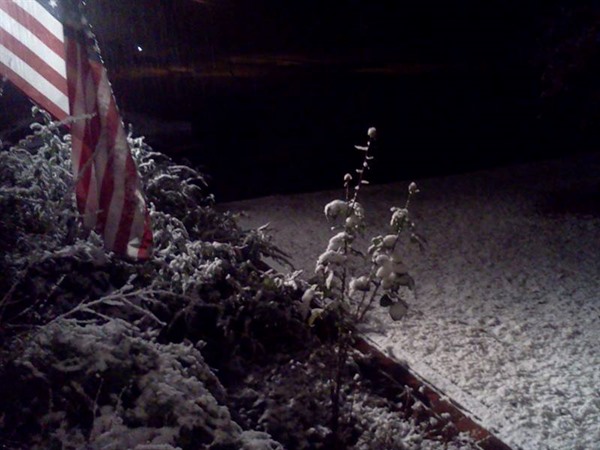 Snow 2014-11-13 Flag-Plant _FacebookSnow #4