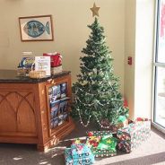 Star Tree Bridges and Brightens (12/12/21)