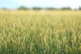 landscape-398505__180