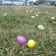 PUMC Scrambles to Organize Easter Egg Hunt! (3/26/16)