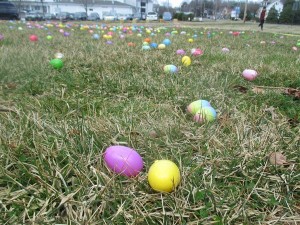 Egg Hunt 2015 Field _IMG_1780