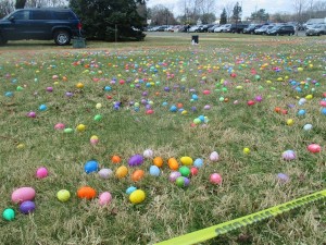 Egg Hunt 2015 Field _IMG_1782