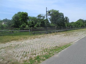 Shed Project- Location _IMG_2142