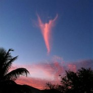 Daily Thanksgiving Prayer Meditation