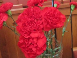 Anniversary 2015-11-01 Carnation _IMG_2592