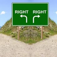 A Zoad, a Fork, and a Choice (5/22/16)