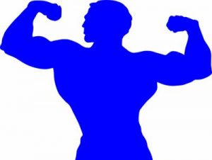 bodybuilder-295375_960_720 400x300