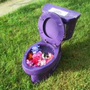 The Purple Potty Returns! (6/9/19)