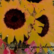 Life After the Born-Again Birth (6/5/16)