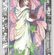 Magnificant Bulletin Cover (12/8/13)